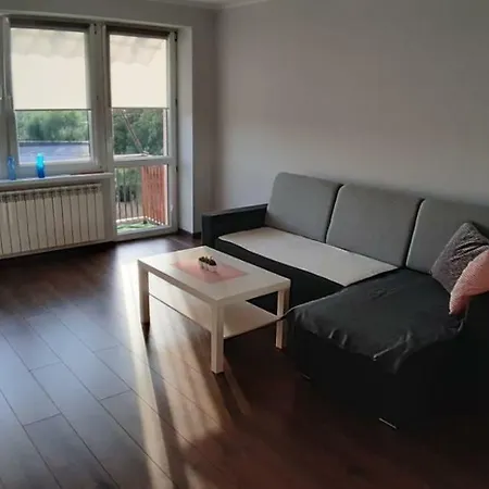Apartment Modern